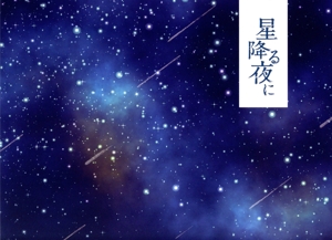 星降る夜に DVD-BOX