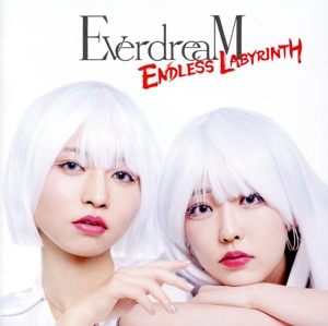 ENDLESS LABYRINTH(DVD付)