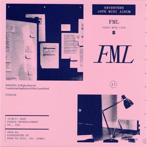 FML:Version B(Faded Mono Life)