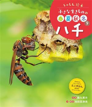 しゃしん絵本 小さな生きものの春夏秋冬(9)ハチ