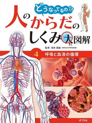 どうなってるの!?人のからだのしくみ大図解(4) 呼吸と血液の循環