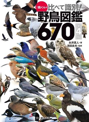 鳥くんの比べて識別！野鳥図鑑670