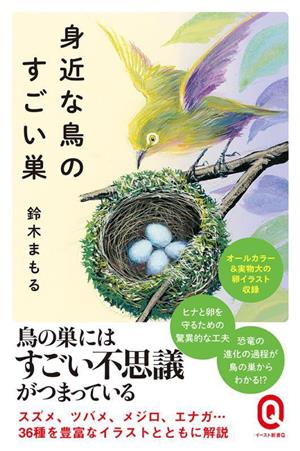 身近な鳥のすごい巣 イースト新書Q