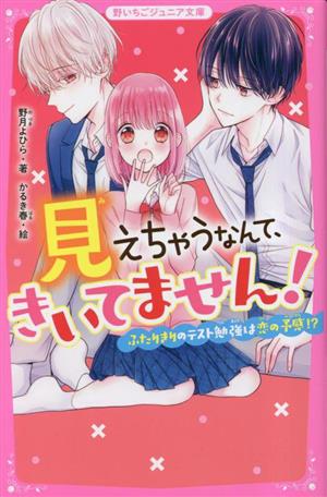 見えちゃうなんて、きいてません！ふたりきりのテスト勉強は恋の予感!? 野いちごジュニア文庫