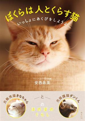 ぼくらは人とくらす猫 いっしょにあくびをしようよ