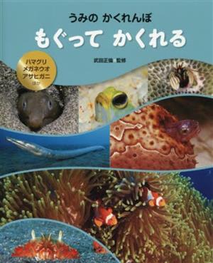 うみのかくれんぼもぐってかくれる ハマグリ・メガネウオ・アサヒガニほか 読みきかせ大型写真絵本