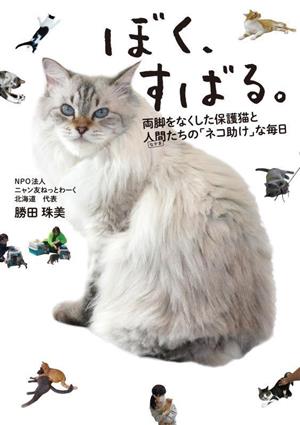 ぼく、すばる。 両脚をなくした保護猫と人間たちの「ネコ助け」な毎日