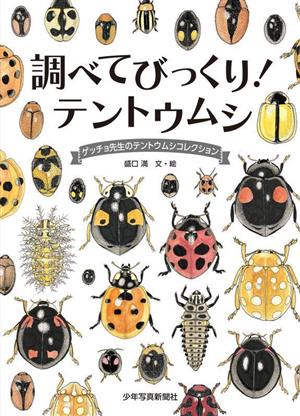 調べてびっくり！テントウムシ ゲッチョ先生のテントウムシコレクション