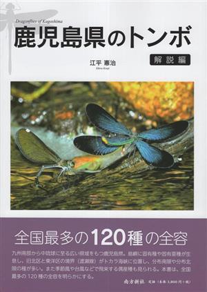 鹿児島県のトンボ 解説編