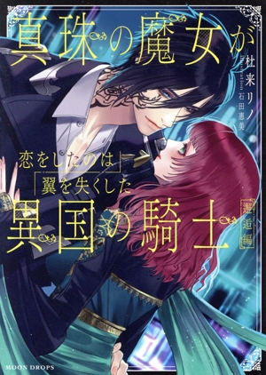 真珠の魔女が恋をしたのは翼を失くした異国の騎士 邂逅編 MOON DROPS文庫