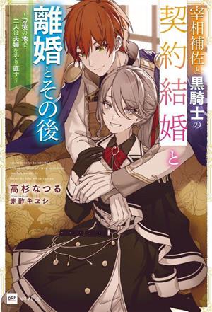 宰相補佐と黒騎士の契約結婚と離婚とその後辺境の地で二人は夫婦をやり直すDREノベルス