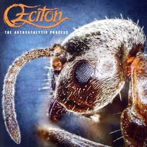 THE AUTOCATALYTIC PROCESS