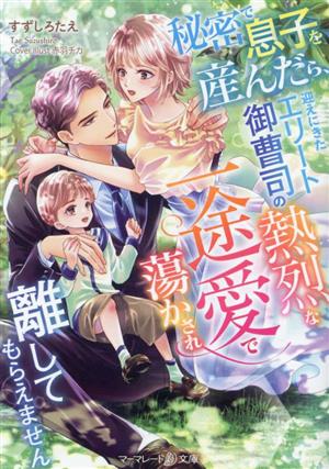 秘密で息子を産んだら、迎えにきたエリート御曹司の熱烈な一途愛で蕩かされ離してもらえません マーマレード文庫