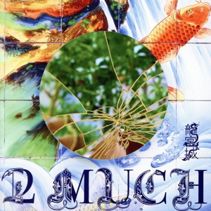 2 MUCH(完全生産限定盤)