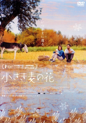タレンタイム 優しい歌 DVD タレンタイム～優しい歌 中古DVD・ブルーレイ | ブックオフ公式