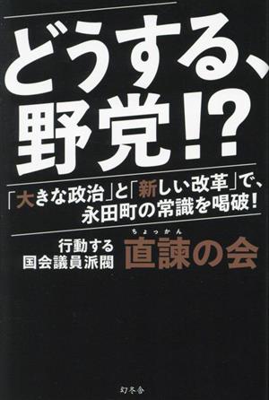 どうする、野党!?「大きな政治」と「新しい改革」で、永田町の常識を喝破！