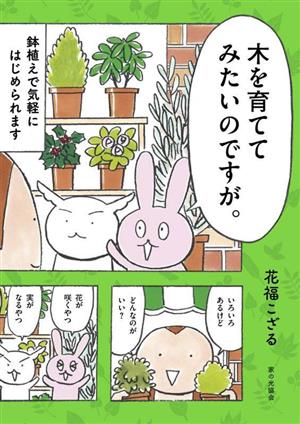 木を育ててみたいのですが。 鉢植えで気軽にはじめられます