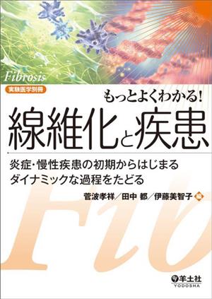 もっとよくわかる！線維化と疾患 炎症・慢性疾患の初期からはじまるダイナミックな過程をたどる 実験医学別冊 もっとよくわかる！シリーズ