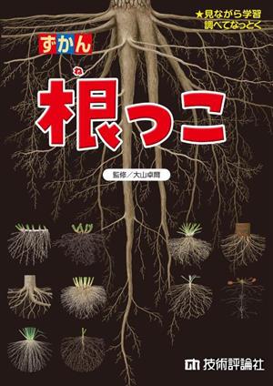 ずかん 根っこ 見ながら学習 調べてなっとく