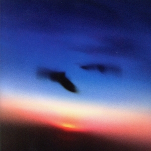 Resavoir(second album)