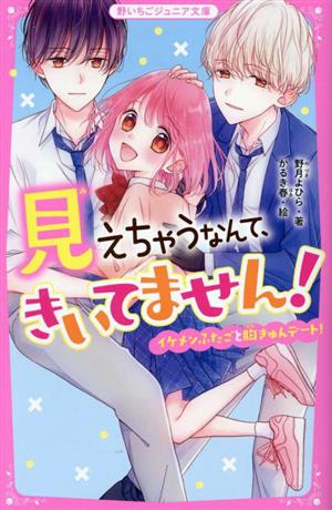 見えちゃうなんて、きいてません！ イケメンふたごと胸きゅんデート！ 野いちごジュニア文庫