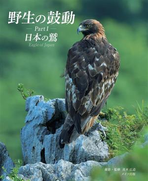 野生の鼓動(PartⅠ)日本の鷲