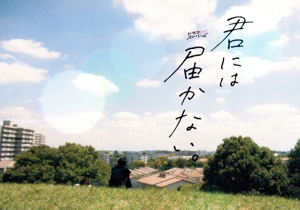 君には届かない。 Blu-ray BOX(Blu-ray Disc)