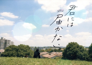 君には届かない。 DVD-BOX