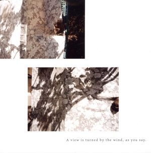 A view is turned by the wind, as you say.