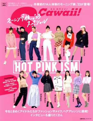 HOT PINK ISM モーニング娘。'23スペシャル 主婦の友ヒットシリーズ S Cawaii！特別編集