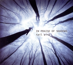 In Praise of Shadows