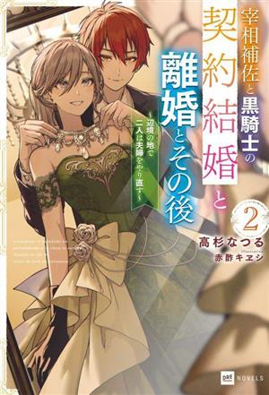 宰相補佐と黒騎士の契約結婚と離婚とその後(2) 辺境の地で二人は夫婦をやり直す DREノベルス