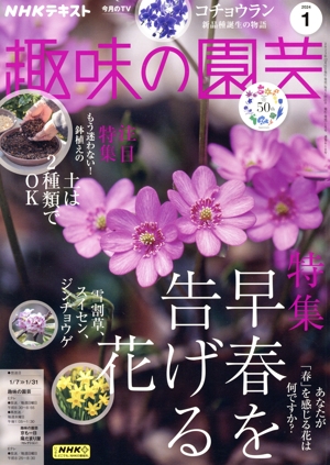 NHKテキスト 趣味の園芸(1 2024) 月刊誌