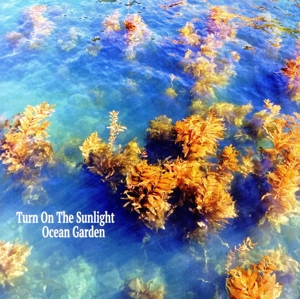 Ocean Garden