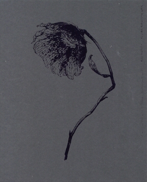 NieR:Automata Ver1.1a Blu-ray BOX Vol.1(完全生産限定版)(Blu-ray Disc)