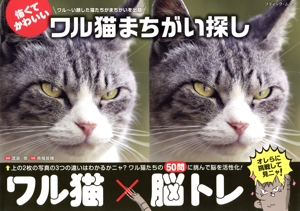 怖くてかわいい ワル猫まちがい探し ブティック・ムック