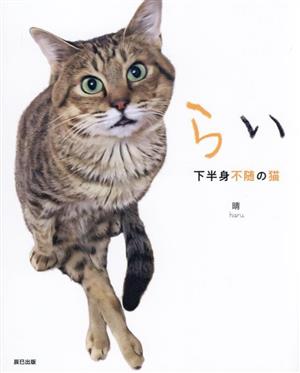 らい 下半身不随の猫