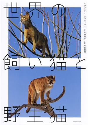 世界の飼い猫と野生猫