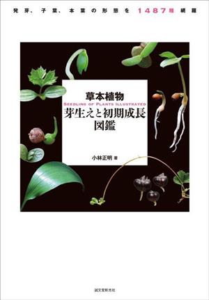 草本植物 芽生えと初期成長図鑑 発芽、子葉、本葉の形態を1487種網羅