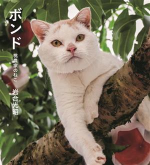 写真集 ボンド 桃農家のねこ