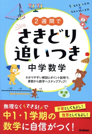 2週間でさきどり追いつき 中学数学