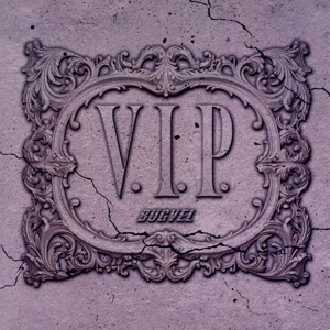 V.I.P./CLOVER(V.I.P.盤)