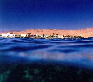 【輸入盤】Dahab Days