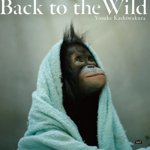 写真集 Back to the Wild 森を失ったオランウータン