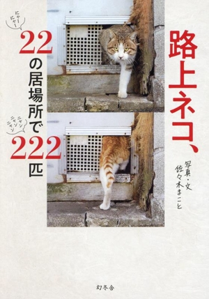 路上ネコ、22の居場所で222匹