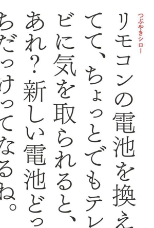 リモコンの電池を換えてて、ちょっとでもテレビに気を取られると、あれ？新しい電池どっちだっけってなるね。