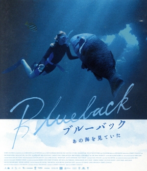 ブルーバック あの海を見ていた(Blu-ray Disc)