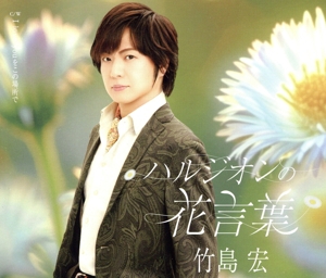 ハルジオンの花言葉(Aタイプ)