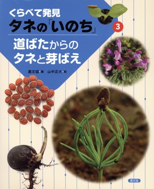 くらべて発見 タネの「いのち」(3) 道ばたからのタネと芽ばえ