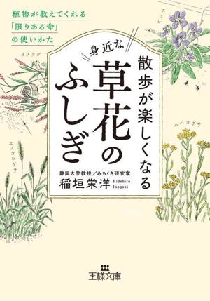 散歩が楽しくなる身近な草花のふしぎ 植物が教えてくれる「限りある命」の使いかた 王様文庫